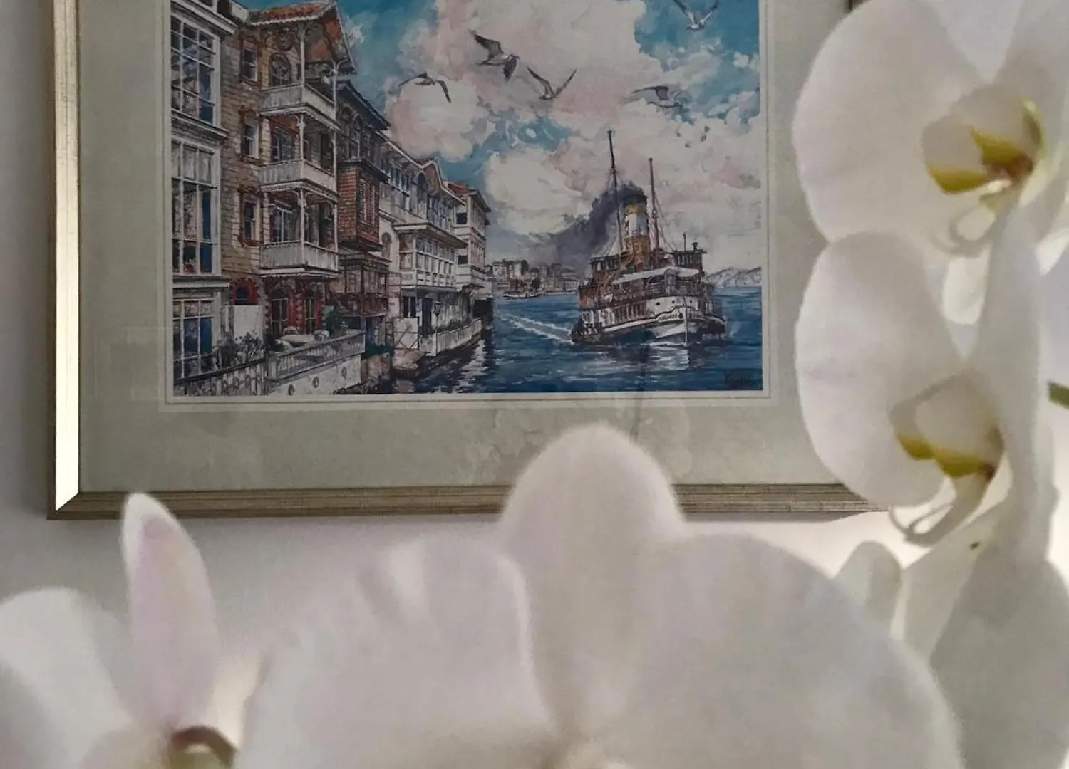 Cozy And Modern Flat Near Bosphorus At Arnavutkoey Apartment Istanbul
